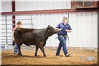 LCFair2016-1825.jpg
