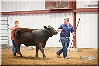 LCFair2016-1826.jpg