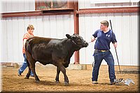 LCFair2016-1827.jpg
