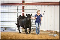 LCFair2016-1828.jpg