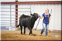 LCFair2016-1829.jpg