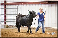 LCFair2016-1830.jpg