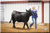 LCFair2016-1831.jpg