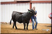 LCFair2016-1832.jpg