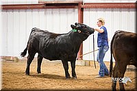 LCFair2016-1833.jpg