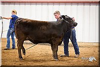 LCFair2016-1834.jpg