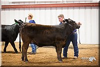 LCFair2016-1835.jpg