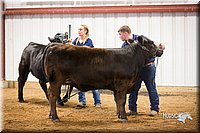 LCFair2016-1836.jpg