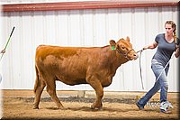 LCFair2016-1853.jpg
