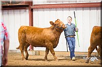 LCFair2016-1854.jpg