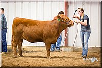 LCFair2016-1855.jpg