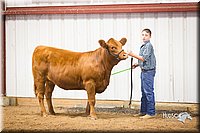 LCFair2016-1856.jpg