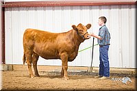 LCFair2016-1857.jpg