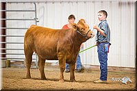LCFair2016-1858.jpg