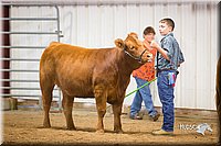 LCFair2016-1859.jpg