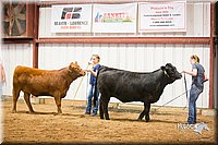 LCFair2016-1861.jpg