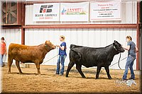 LCFair2016-1862.jpg