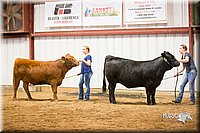 LCFair2016-1864.jpg