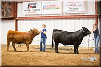 LCFair2016-1865.jpg