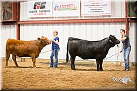 LCFair2016-1866.jpg