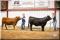 LCFair2016-1867.jpg