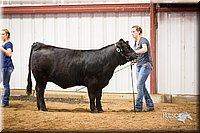 LCFair2016-1869.jpg