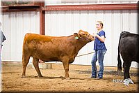 LCFair2016-1870.jpg
