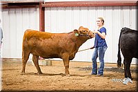 LCFair2016-1871.jpg