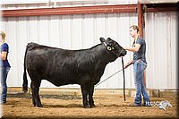LCFair2016-1872.jpg