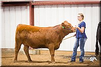 LCFair2016-1873.jpg