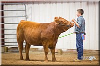 LCFair2016-1874.jpg