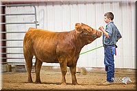 LCFair2016-1875.jpg