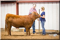 LCFair2016-1878.jpg