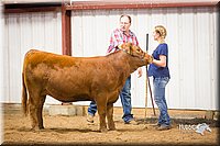 LCFair2016-1879.jpg