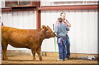LCFair2016-1880.jpg