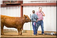 LCFair2016-1882.jpg