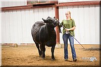 LCFair2016-1883.jpg