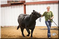 LCFair2016-1884.jpg