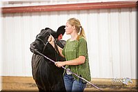 LCFair2016-1885.jpg