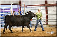 LCFair2016-1886.jpg