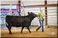 LCFair2016-1887.jpg