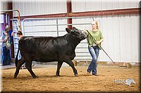 LCFair2016-1888.jpg