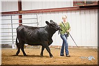 LCFair2016-1889.jpg