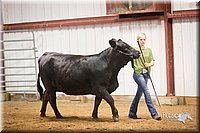 LCFair2016-1890.jpg