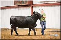 LCFair2016-1891.jpg