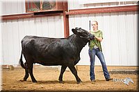 LCFair2016-1892.jpg