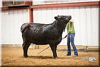 LCFair2016-1893.jpg