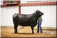 LCFair2016-1894.jpg