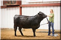LCFair2016-1895.jpg