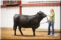 LCFair2016-1896.jpg